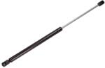 MAXGEAR Amortizor Portbagaj 12-0252 Ford Focus Ii