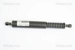 TRISCAN Amortizor Portbagaj 871029264 Vw Touareg