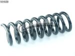 CS Germany Arc Spiral Puntea Spate 14.101. 639 Bmw 3/3 Gran Turismo/3 Touring