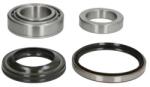 BTA Set Rulment Roata Spate H20071Bta Ssangyong Korando (H20071BTA)