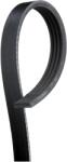 GATES Curea Transmisie Cu Caneluri 4Pk895Sf Bmw 3/X3
