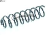 CS Germany Arc Spiral Puntea Spate 14.871. 253 Renault Megane Ii