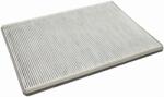CORTECO Filtru, Aer Habitaclu Spate 49125152 Mercedes-Benz Eqe/Eqs (49125152)