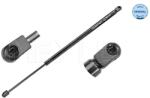 MEYLE Amortizor Portbagaj 7409100012 Ford Fiesta V (7409100012)