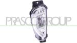 PRASCO Proiector Ceata Stanga Fd8084414 Ford Kuga Iii (FD8084414)