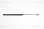 TRISCAN Amortizor Portbagaj 871024230 Opel Zafira / Zafira Family B/Zafira B (871024230)