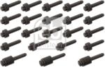 FEBI BILSTEIN Set Suruburi, Capac Culbutori 49851 Bmw 1/3/5/6/7/Z4 (49851)