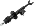 MAXGEAR Amortizor Axa Fata Dreapta 11-1379 Bmw 5 (11-1379)