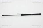 TRISCAN Amortizor Portbagaj 871066207 Seat Ibiza Iv