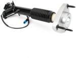 Arnott Amortizor Axa Spate Dreapta Sk-3816 Bmw X5/X6 (SK-3816)
