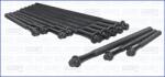 AJUSA Set Surub, Chiulasa 81029500 Bmw 1/3/5/X3/Z4 Bmw (Brilliance) 3 Series
