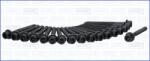 AJUSA Set Surub, Chiulasa 81031000 Nissan Almera Ii/Almera Tino/Cabstar/Navara/Primera