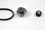 HEPU Set Pompa Apa + Curea Dintata Pk12010 Abarth 124/500 / 595 / 695/Grande Punto (PK12010)
