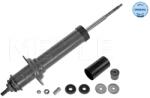 MEYLE Amortizor Puntea Spate 0267250023 Mercedes-Benz M-Class (0267250023)