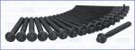 AJUSA Set Surub, Chiulasa 81040300 Askam Fora Chrysler Ram Van/Voyager / Voyager Iii