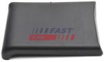 FAST Elemente Decorative/Protectie, Panou Lateral Spate Stanga Ft90807 Iveco Daily Iv
