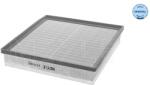MEYLE Filtru Aer 6123210002 Nissan Primastar Opel Vivaro A Renault Trafic Ii (6123210002)