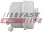 FAST Vas De Expansiune, Ulei Hidraulic (Servodirecție) Ft36300 Iveco Daily Iii (FT36300)