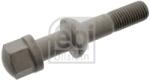 Febi Bilstein Surub Roata Puntea Spate 05123 Mercedes-Benz 124/124 T-Model/190/A-Class/Clk/Sl