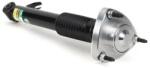Arnott Amortizor Axa Spate Dreapta Sk-3606 Bmw X5/X6 (SK-3606)