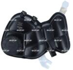NRF Vas De Expansiune, Racire 454131 Mercedes-Benz S-Class (454131)