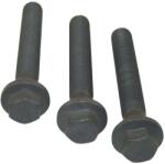 CORTECO Set Surub, Disc Curea-Arbore Cotit 80004867 Ford Mondeo Iii/Transit (80004867)