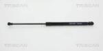 TRISCAN Amortizor Portbagaj 871066206 Seat Ibiza Iv