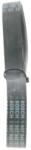 Bosch Curea Transmisie Cu Caneluri 1987945731 Audi A1 Seat Alhambra/Ibiza Iv Vw Beetle