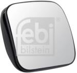 Febi Bilstein Oglinda Unghi Indepartat Pe Ambele Parti 100019 Mercedes-Benz Atego/Atego 2/Axor