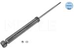 MEYLE Amortizor Puntea Spate 16-267250025 Renault Clio Iv (16-267250025)