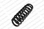 LESJÖFORS Arc Spiral Puntea Spate 4208454 Bmw 1 (4208454)
