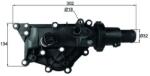 MAHLE Termostat, Lichid Racire Th6089 Renault Clio Iii/Megane/Megane Ii/Megane Iii/Wind (TH6089)