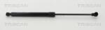 TRISCAN Amortizor Capota 871025113 Audi A8 D3 Renault Captur I/Kaptur (871025113)