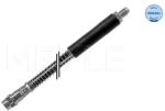 MEYLE Furtun Frana Puntea Spate 16-145250028 Opel Movano A Renault Master Ii (16-145250028)
