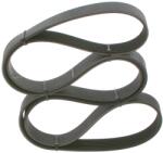 Bosch Curea Transmisie Cu Caneluri 1987947375 Daf Cf 85/Xf 105 Nissan Cabstar (1987947375)