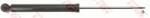 TRW Amortizor Puntea Spate Jgt555S Renault Clio Iii/Modus / Modus (JGT555S)