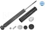 MEYLE Amortizor Puntea Spate 0267250026 Smart Fortwo (0267250026)