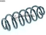 CS Germany Arc Spiral Puntea Spate 14.950. 855 Audi Q5