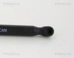 TRISCAN Amortizor Portbagaj 871038239 Citroën Ds5 Ds Ds 5
