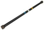REINHOCH Surub Stift, Bara De Torsiune Rh10-2006 Renault Megane I (RH10-2006)