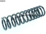 CS Germany Arc Spiral Puntea Spate 14.504. 034 Ford Focus I