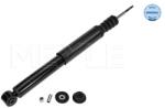 MEYLE Amortizor Puntea Spate 16-267250009 Renault Clio Iii/Modus / Modus (16-267250009)