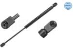 MEYLE Amortizor Portbagaj 16-409100003 Renault Clio Ii/Clio Iv (16-409100003)