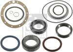 FEBI BILSTEIN Set Rulment Roata Axa Spate Dreapta 47789 Mercedes-Benz Actros/Atego/Axor/Axor 2 (47789)