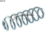 CS Germany Arc Spiral Puntea Spate 14.950. 734 Vw Passat B6/Tiguan
