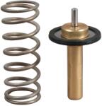 GATES Termostat, Lichid Racire Th51690G1 Volvo C30/C70 Ii/S40 Ii/S60 Ii/S80 Ii/V40/V50 (TH51690G1)