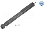 MEYLE Amortizor Puntea Spate 7267250029 Ford Galaxy Ii/Mondeo Iv/S-Max Volvo S80 Ii (7267250029)