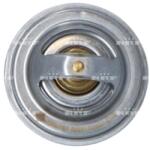 NRF Termostat, Lichid Racire 725117 Man F2000/F90/Hocl/Lion´S City/Lion´S Comfort/Nl (725117)