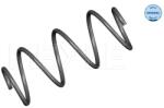 MEYLE Arc Spiral Punte Fata 36-146390004 Nissan Micra Iii (36-146390004)