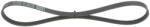Bosch Curea Transmisie Cu Caneluri 1987946118 Citroën Jumper I/Jumper Ii Fiat Ducato